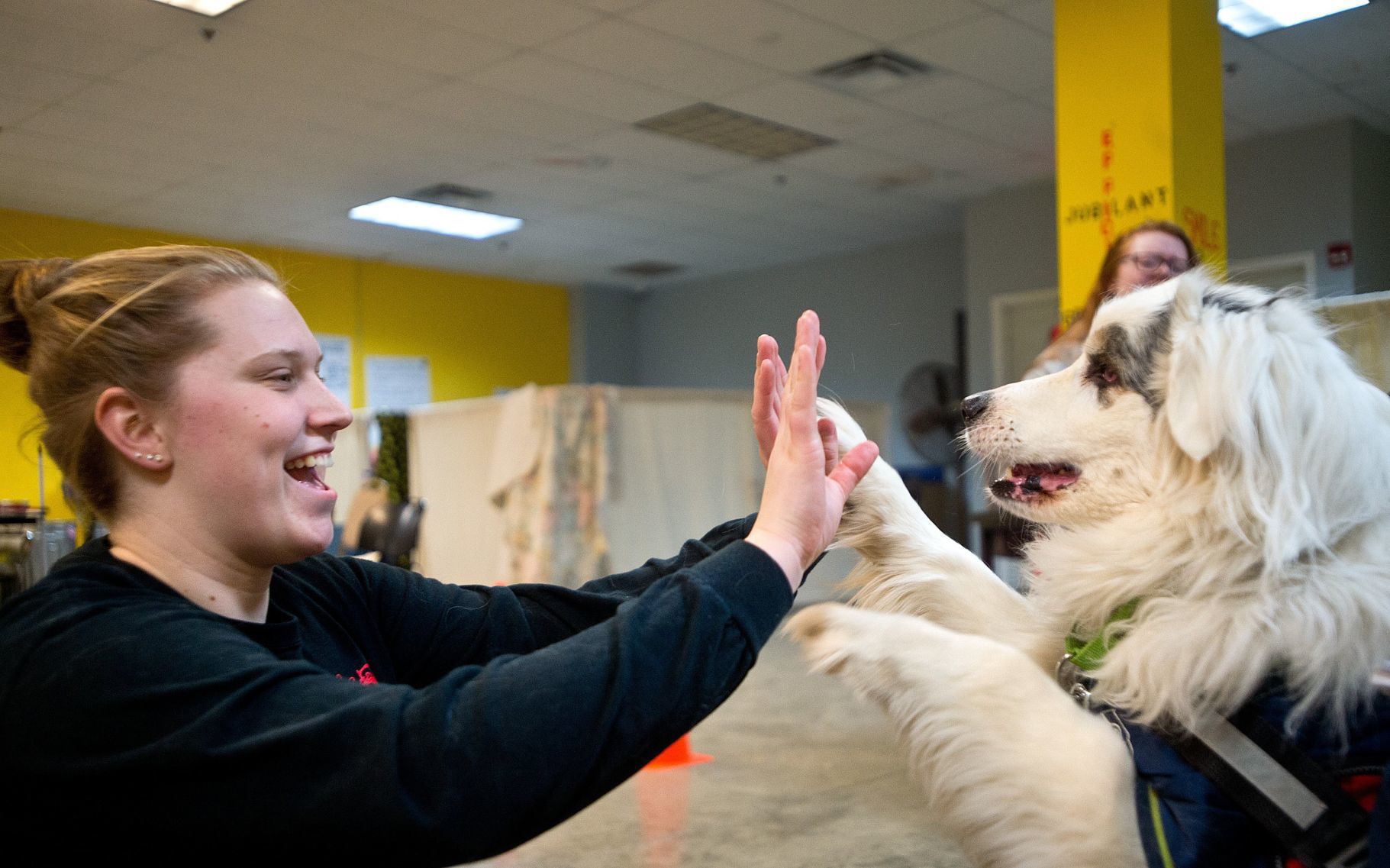 031419-blm-loc-3isudogs